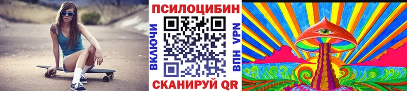 Псилоцибиновые грибы ЛСД  ссылка на мегу рабочий сайт  Александровское 