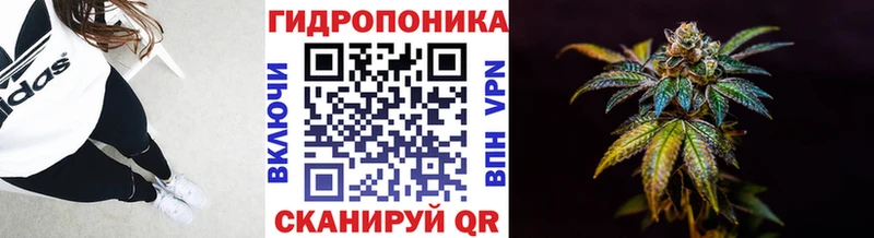 Канабис Bruce Banner Александровское